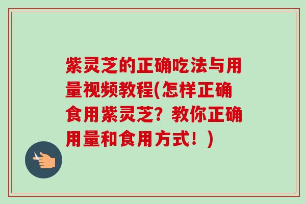 紫灵芝的正确吃法与用量视频教程(怎样正确食用紫灵芝？教你正确用量和食用方式！)