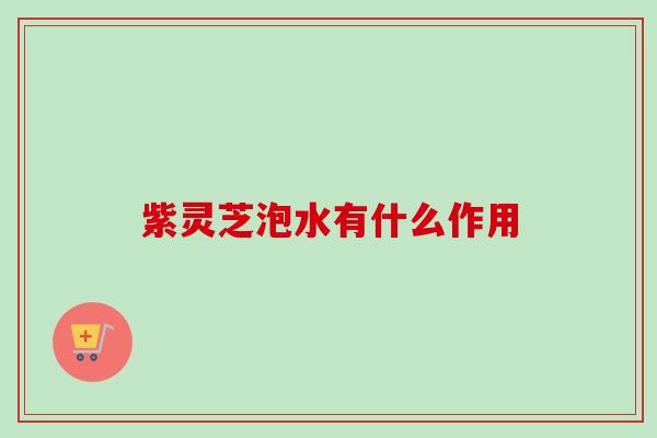 紫灵芝泡水有什么作用