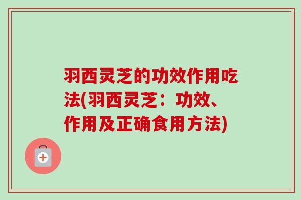 羽西灵芝的功效作用吃法(羽西灵芝:功效、作用及正确食用方法) 羽西灵芝的功效作用吃法(羽西灵芝:功效、作用及正确食用方法)
