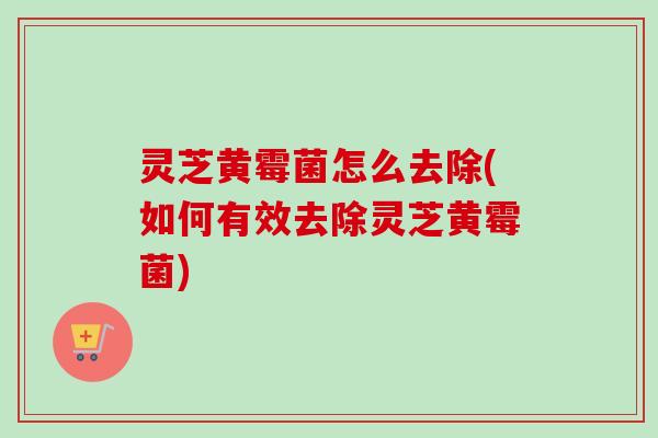 灵芝黄霉菌怎么去除(如何有效去除灵芝黄霉菌) 灵芝黄霉菌怎么去除(如何有效去除灵芝黄霉菌)