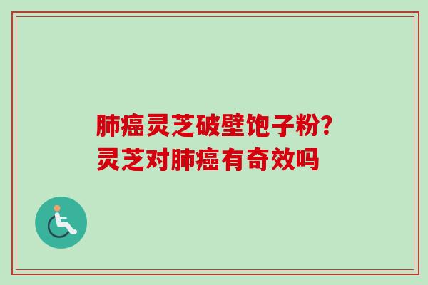 灵芝破壁饱子粉?灵芝对有奇效吗 灵芝破壁饱子粉?灵芝对有奇效吗