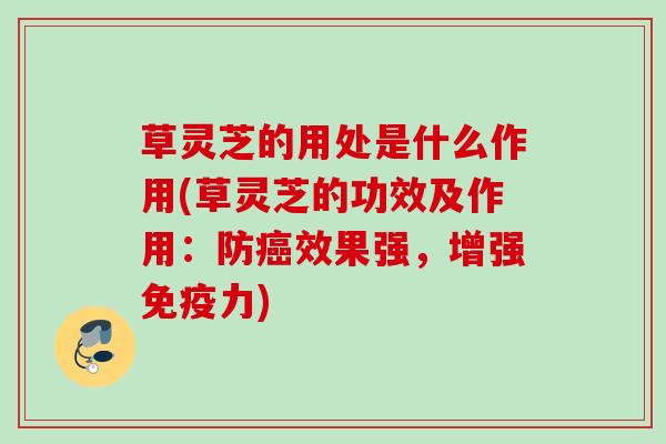 草灵芝的用处是什么作用(草灵芝的功效及作用:防效果强,增强免疫力) 草灵芝的用处是什么作用(草灵芝的功效及作用:防效果强,增强免疫力)