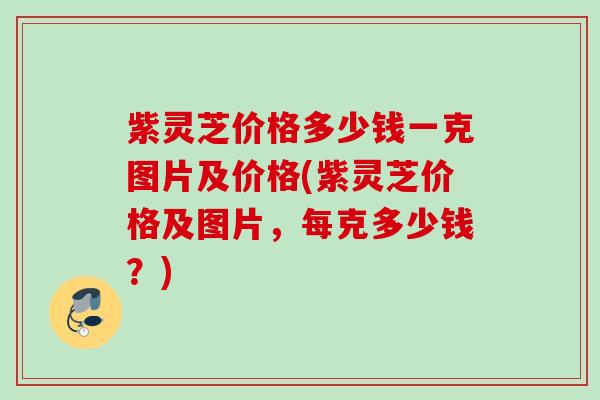 紫灵芝价格多少钱一克图片及价格(紫灵芝价格及图片,每克多少钱?) 紫灵芝价格多少钱一克图片及价格(紫灵芝价格及图片,每克多少钱?)