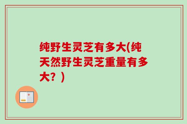 纯野生灵芝有多大(纯天然野生灵芝重量有多大？)