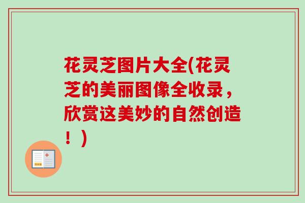花灵芝图片大全(花灵芝的美丽图像全收录，欣赏这美妙的自然创造！)