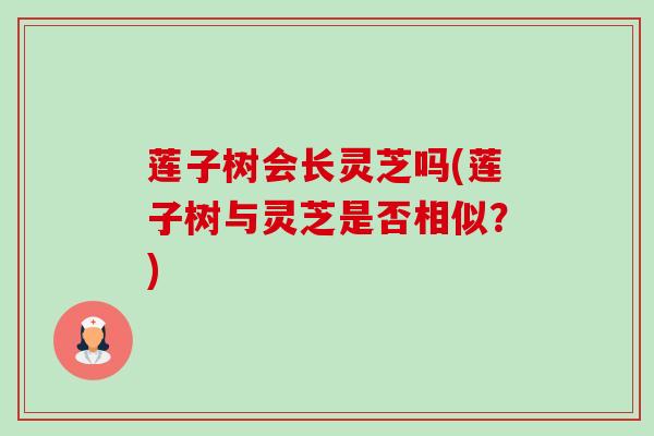 莲子树会长灵芝吗(莲子树与灵芝是否相似?) 莲子树会长灵芝吗(莲子树与灵芝是否相似?)