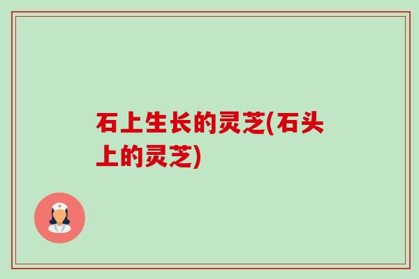 石上生长的灵芝(石头上的灵芝) 石上生长的灵芝(石头上的灵芝)