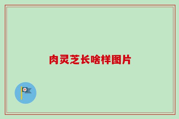 肉灵芝长啥样图片 肉灵芝长啥样图片