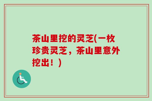 茶山里挖的灵芝(一枚珍贵灵芝，茶山里意外挖出！)