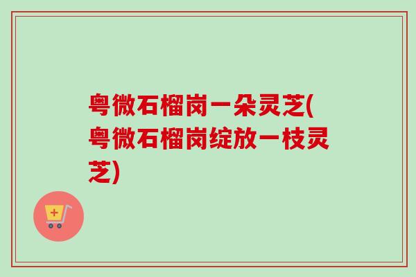 粤微石榴岗一朵灵芝(粤微石榴岗绽放一枝灵芝)