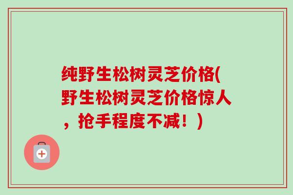 纯野生松树灵芝价格(野生松树灵芝价格惊人，抢手程度不减！)