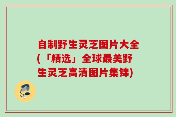 自制野生灵芝图片大全(「精选」全球美野生灵芝高清图片集锦) 自制野生灵芝图片大全(「精选」全球美野生灵芝高清图片集锦)