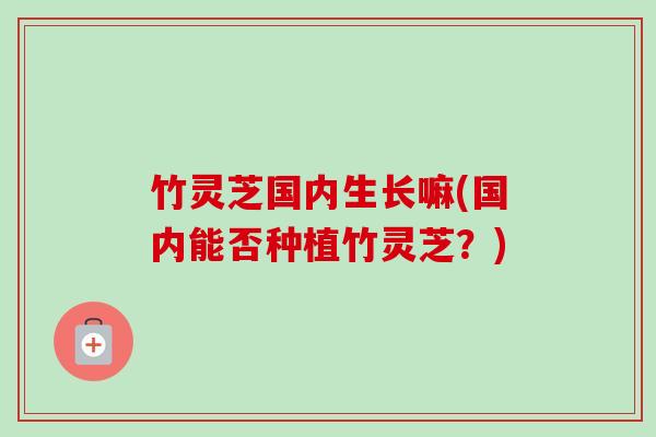 竹灵芝国内生长嘛(国内能否种植竹灵芝？)