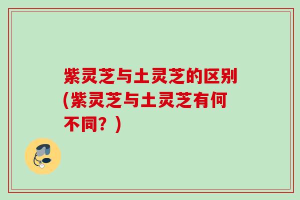 紫灵芝与土灵芝的区别(紫灵芝与土灵芝有何不同?) 紫灵芝与土灵芝的区别(紫灵芝与土灵芝有何不同?)