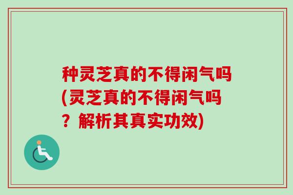 种灵芝真的不得闲气吗(灵芝真的不得闲气吗？解析其真实功效)