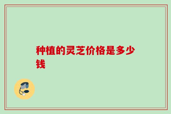 种植的灵芝价格是多少钱 种植的灵芝价格是多少钱
