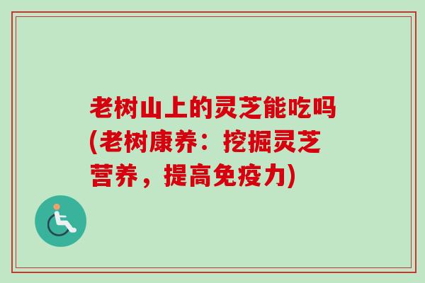 老树山上的灵芝能吃吗(老树康养:挖掘灵芝营养,提高免疫力) 老树山上的灵芝能吃吗(老树康养:挖掘灵芝营养,提高免疫力)