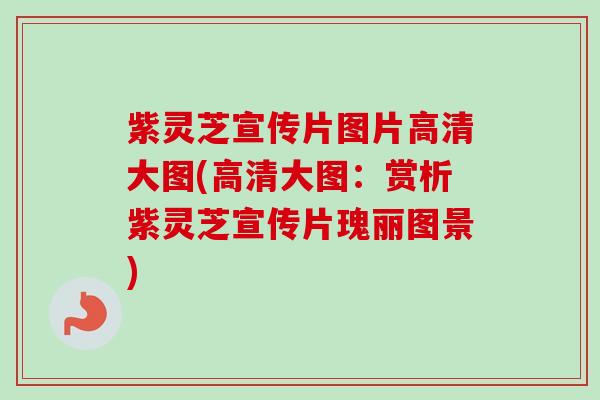 紫灵芝宣传片图片高清大图(高清大图:赏析紫灵芝宣传片瑰丽图景) 紫灵芝宣传片图片高清大图(高清大图:赏析紫灵芝宣传片瑰丽图景)