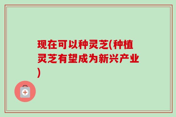 现在可以种灵芝(种植灵芝有望成为新兴产业) 现在可以种灵芝(种植灵芝有望成为新兴产业)