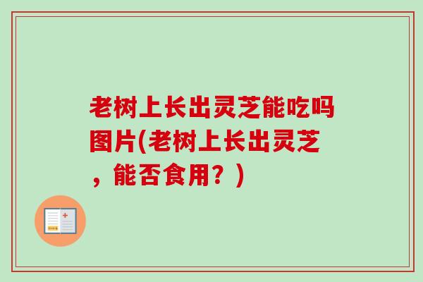 老树上长出灵芝能吃吗图片(老树上长出灵芝，能否食用？)