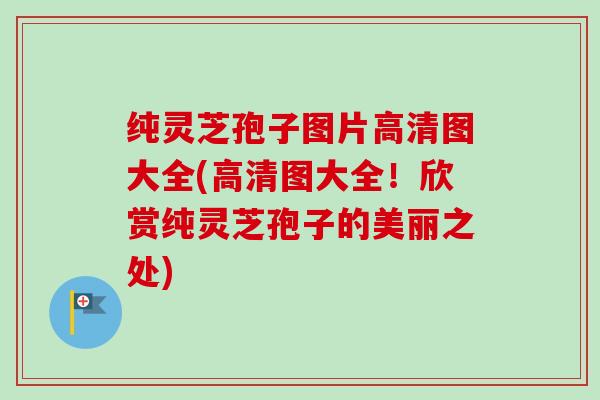纯灵芝孢子图片高清图大全(高清图大全!欣赏纯灵芝孢子的美丽之处) 纯灵芝孢子图片高清图大全(高清图大全!欣赏纯灵芝孢子的美丽之处)
