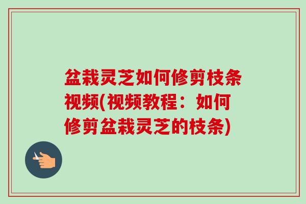 盆栽灵芝如何修剪枝条视频(视频教程:如何修剪盆栽灵芝的枝条) 盆栽灵芝如何修剪枝条视频(视频教程:如何修剪盆栽灵芝的枝条)