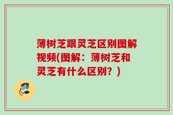 薄树芝跟灵芝区别图解视频(图解:薄树芝和灵芝有什么区别?) 薄树芝跟灵芝区别图解视频(图解:薄树芝和灵芝有什么区别?)