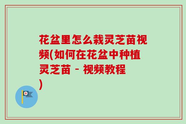 花盆里怎么栽灵芝苗视频(如何在花盆中种植灵芝苗 - 视频教程) 花盆里怎么栽灵芝苗视频(如何在花盆中种植灵芝苗 - 视频教程)