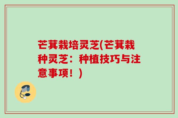 芒萁栽培灵芝(芒萁栽种灵芝:种植技巧与注意事项!) 芒萁栽培灵芝(芒萁栽种灵芝:种植技巧与注意事项!)