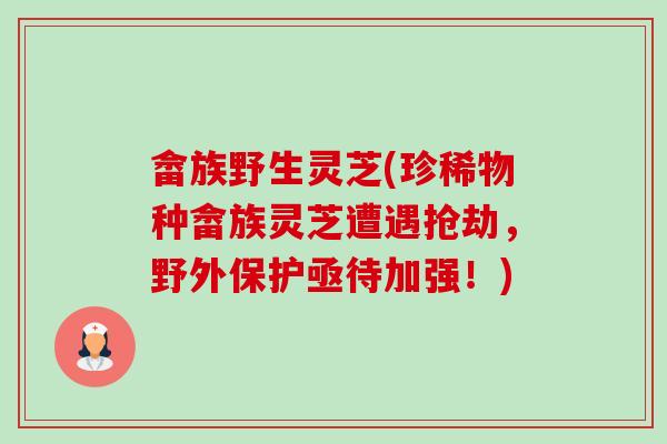 畲族野生灵芝(珍稀物种畲族灵芝遭遇抢劫，野外保护亟待加强！)