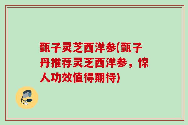 甄子灵芝西洋参(甄子丹推荐灵芝西洋参,惊人功效值得期待) 甄子灵芝西洋参(甄子丹推荐灵芝西洋参,惊人功效值得期待)