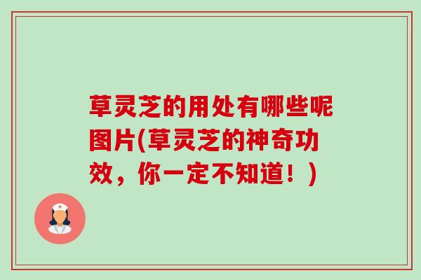 草灵芝的用处有哪些呢图片(草灵芝的神奇功效，你一定不知道！)