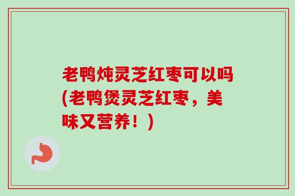 老鸭炖灵芝红枣可以吗(老鸭煲灵芝红枣,美味又营养!) 老鸭炖灵芝红枣可以吗(老鸭煲灵芝红枣,美味又营养!)