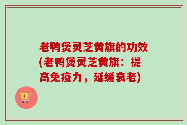老鸭煲灵芝黄旗的功效(老鸭煲灵芝黄旗:提高免疫力,延缓) 老鸭煲灵芝黄旗的功效(老鸭煲灵芝黄旗:提高免疫力,延缓)