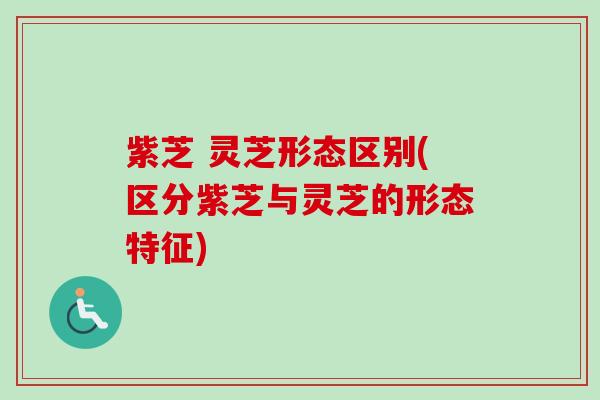 紫芝 灵芝形态区别(区分紫芝与灵芝的形态特征)