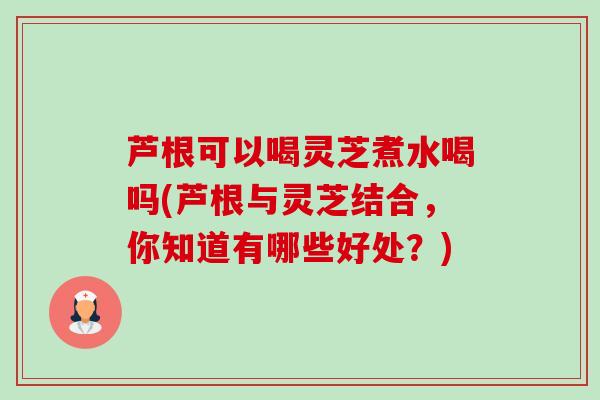 芦根可以喝灵芝煮水喝吗(芦根与灵芝结合,你知道有哪些好处?) 芦根可以喝灵芝煮水喝吗(芦根与灵芝结合,你知道有哪些好处?)
