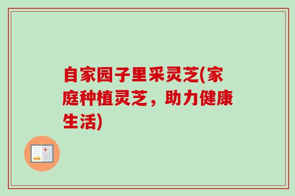 自家园子里采灵芝(家庭种植灵芝,助力健康生活) 自家园子里采灵芝(家庭种植灵芝,助力健康生活)