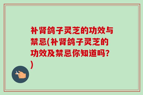 补鸽子灵芝的功效与禁忌(补鸽子灵芝的功效及禁忌你知道吗?) 补鸽子灵芝的功效与禁忌(补鸽子灵芝的功效及禁忌你知道吗?)