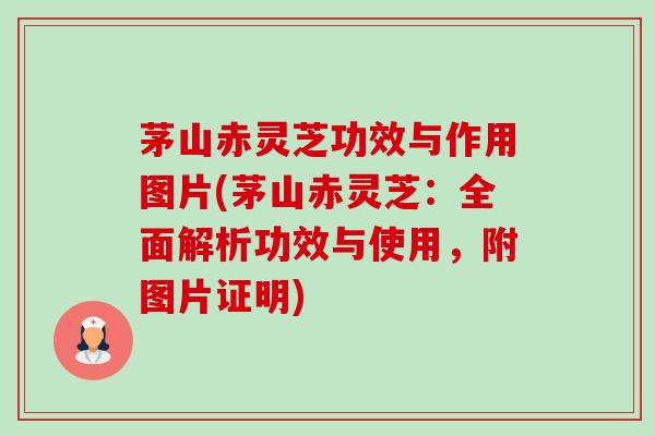 茅山赤灵芝功效与作用图片(茅山赤灵芝:全面解析功效与使用,附图片证明) 茅山赤灵芝功效与作用图片(茅山赤灵芝:全面解析功效与使用,附图片证明)