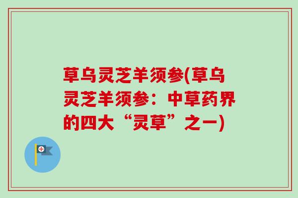 草乌灵芝羊须参(草乌灵芝羊须参:中草药界的四大“灵草”之一) 草乌灵芝羊须参(草乌灵芝羊须参:中草药界的四大“灵草”之一)
