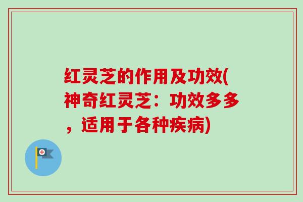 红灵芝的作用及功效(神奇红灵芝:功效多多,适用于各种) 红灵芝的作用及功效(神奇红灵芝:功效多多,适用于各种)