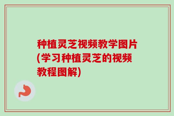 种植灵芝视频教学图片(学习种植灵芝的视频教程图解) 种植灵芝视频教学图片(学习种植灵芝的视频教程图解)