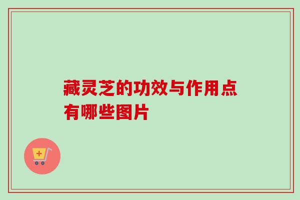 藏灵芝的功效与作用点有哪些图片