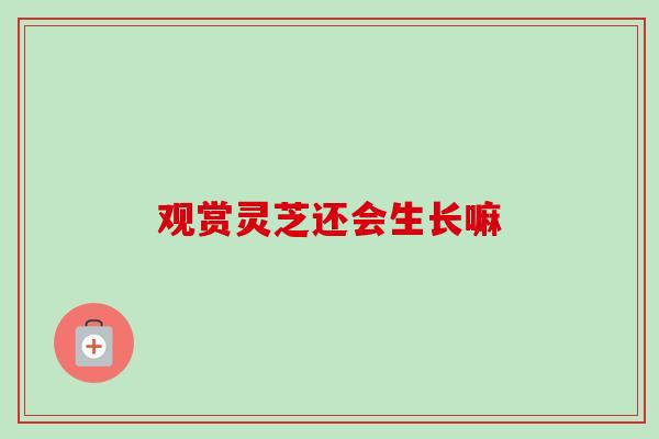 观赏灵芝还会生长嘛