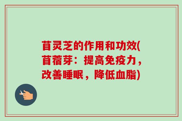 苜灵芝的作用和功效(苜蓿芽：提高免疫力，改善，降低)