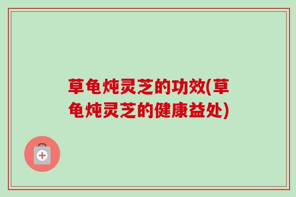 草龟炖灵芝的功效(草龟炖灵芝的健康益处) 草龟炖灵芝的功效(草龟炖灵芝的健康益处)