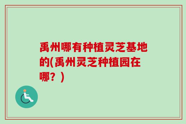 禹州哪有种植灵芝基地的(禹州灵芝种植园在哪？)