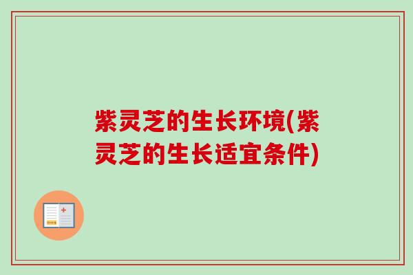紫灵芝的生长环境(紫灵芝的生长适宜条件)