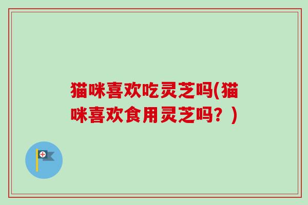 猫咪喜欢吃灵芝吗(猫咪喜欢食用灵芝吗?) 猫咪喜欢吃灵芝吗(猫咪喜欢食用灵芝吗?)