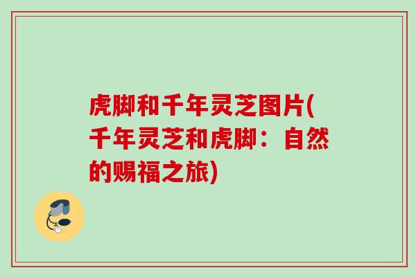 虎脚和千年灵芝图片(千年灵芝和虎脚:自然的赐福之旅) 虎脚和千年灵芝图片(千年灵芝和虎脚:自然的赐福之旅)